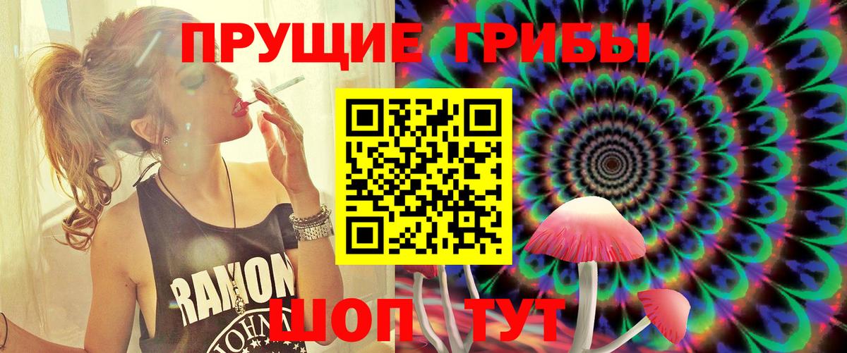 Псилоцибиновые грибы мицелий Коммунар
