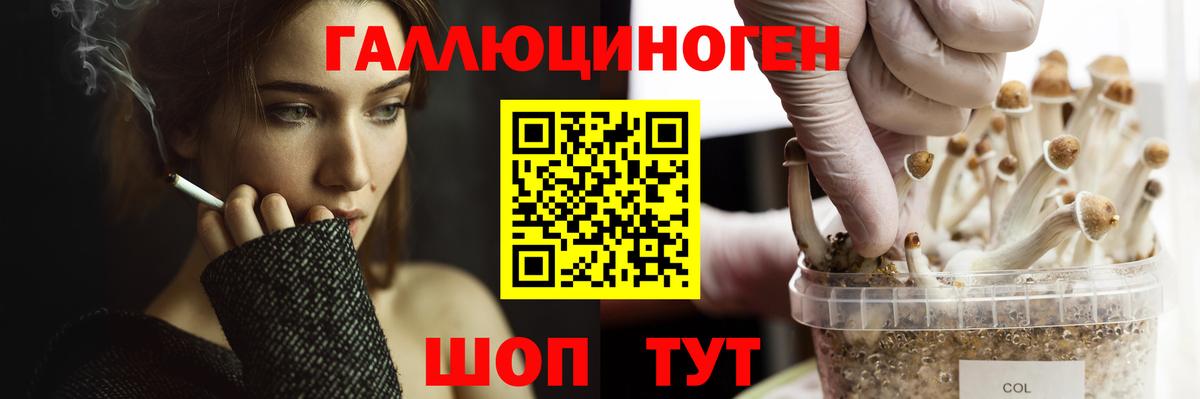 Галлюциногенные грибы Psilocybine cubensis  Галлюциногенные грибы Psilocybe  Коммунар  Вход с VPN 